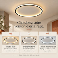 Options blanc fixe, trois températures ou variateur avec télécommande
