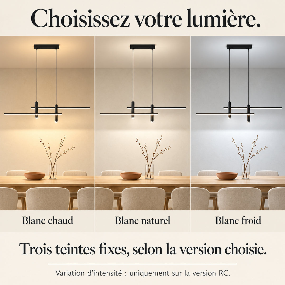 Options de lumière blanc chaud, naturel ou froid et version RC à variation