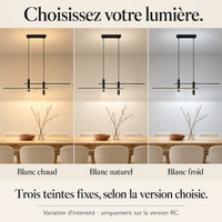 Options de lumière blanc chaud, naturel ou froid et version RC à variation
